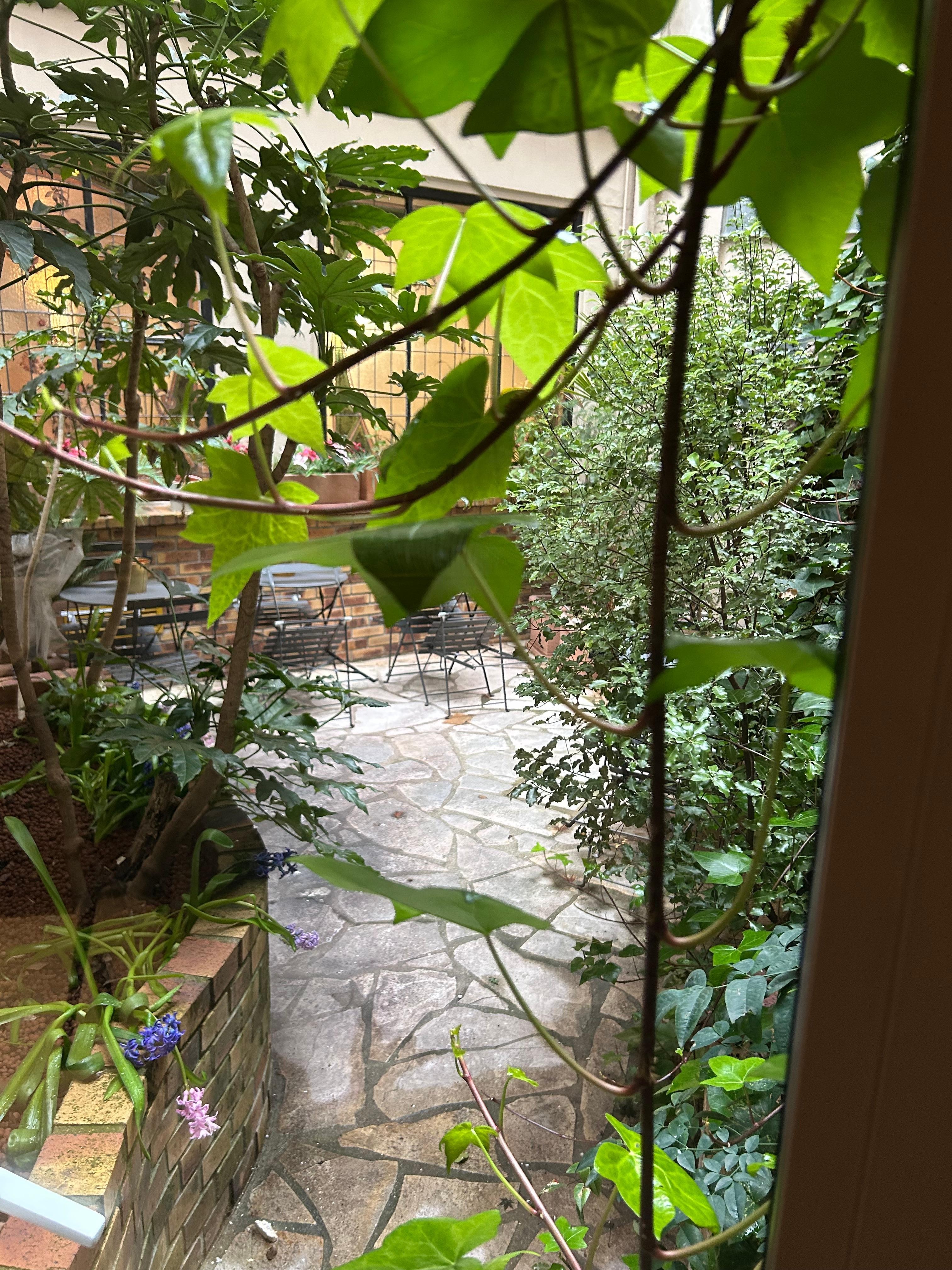 Mysig innergård, dock inte väder att sitta där.