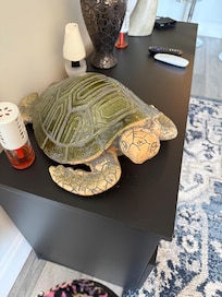 My favorite decoration!