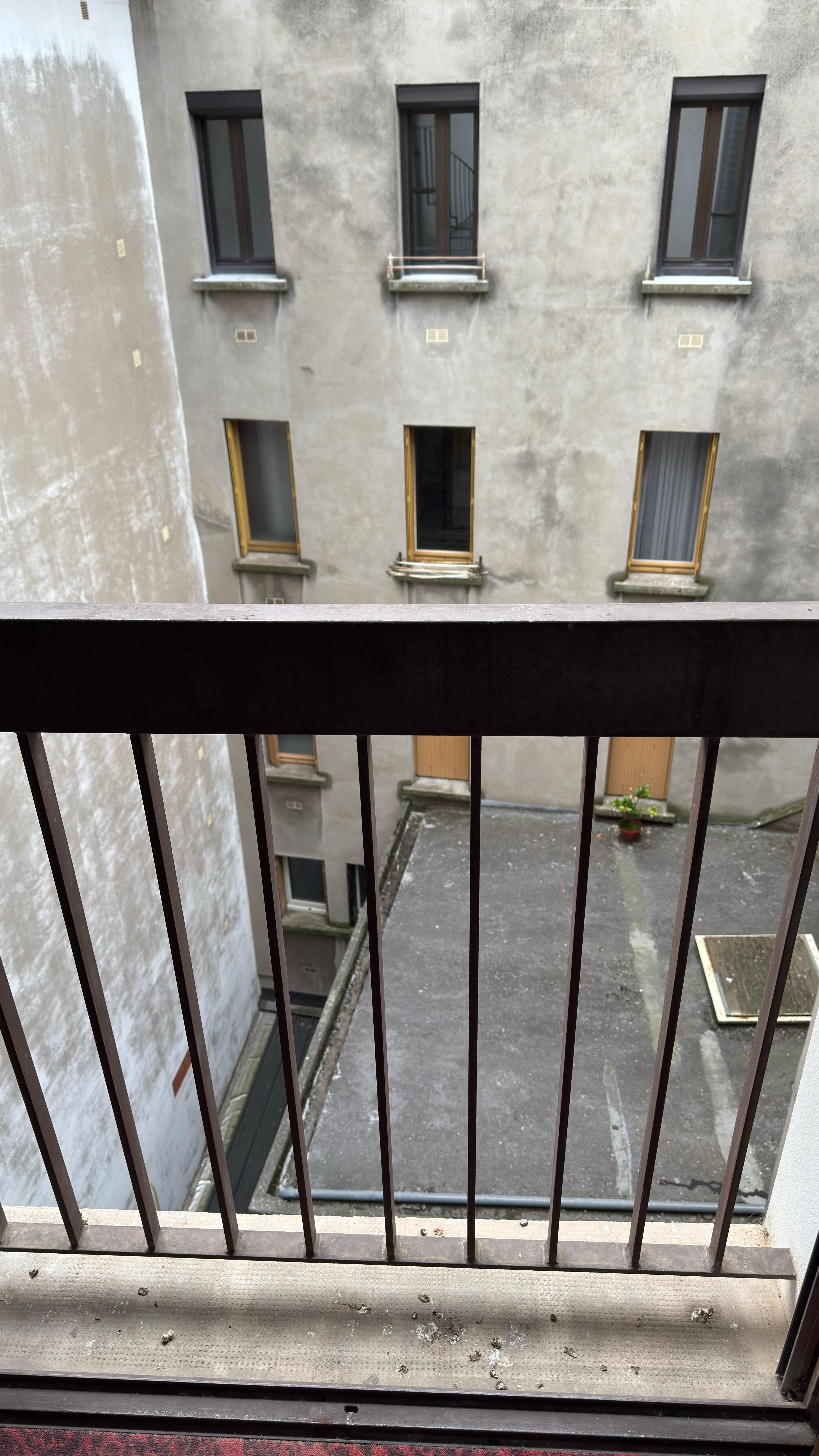 La vue depuis la fenêtre. Notez les déjections sur le pas