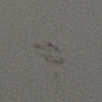 Lipstick kiss on wall