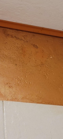 Mold on wall - master shower