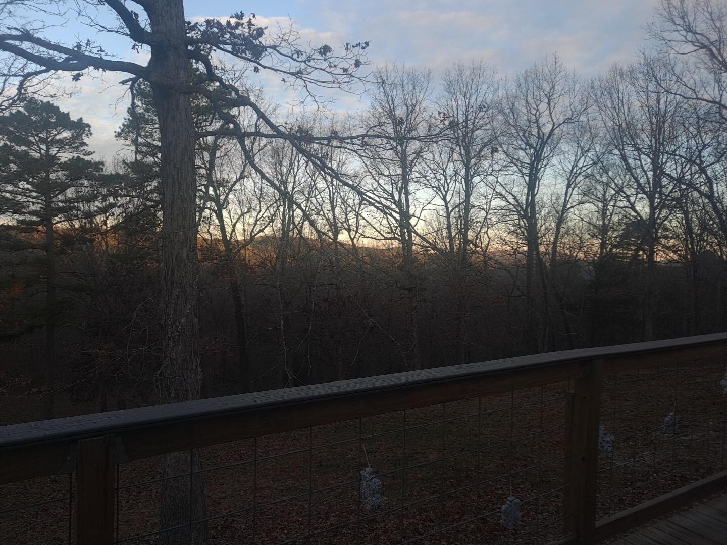 View from back deck thanksgiving day.