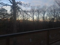 View from back deck thanksgiving day.