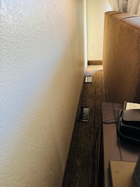 Rat. 🐀 in room 🤮🤮 is bad experience