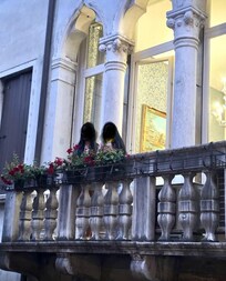 This is a picture of the outside of the balcony