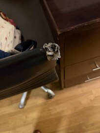 Everything in room was worn, dirty and outdated