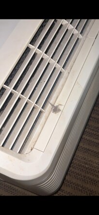 Dirty air conditioner, that never been clean