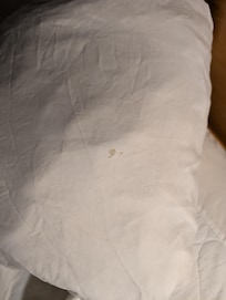 Blood stain?