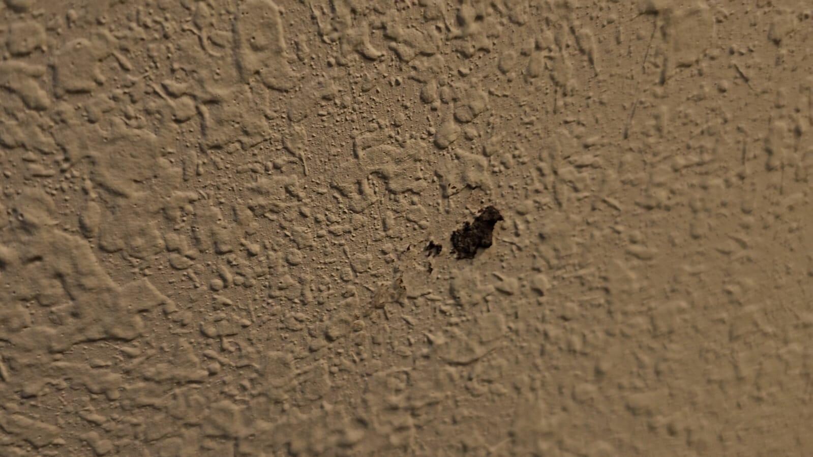 Room wall