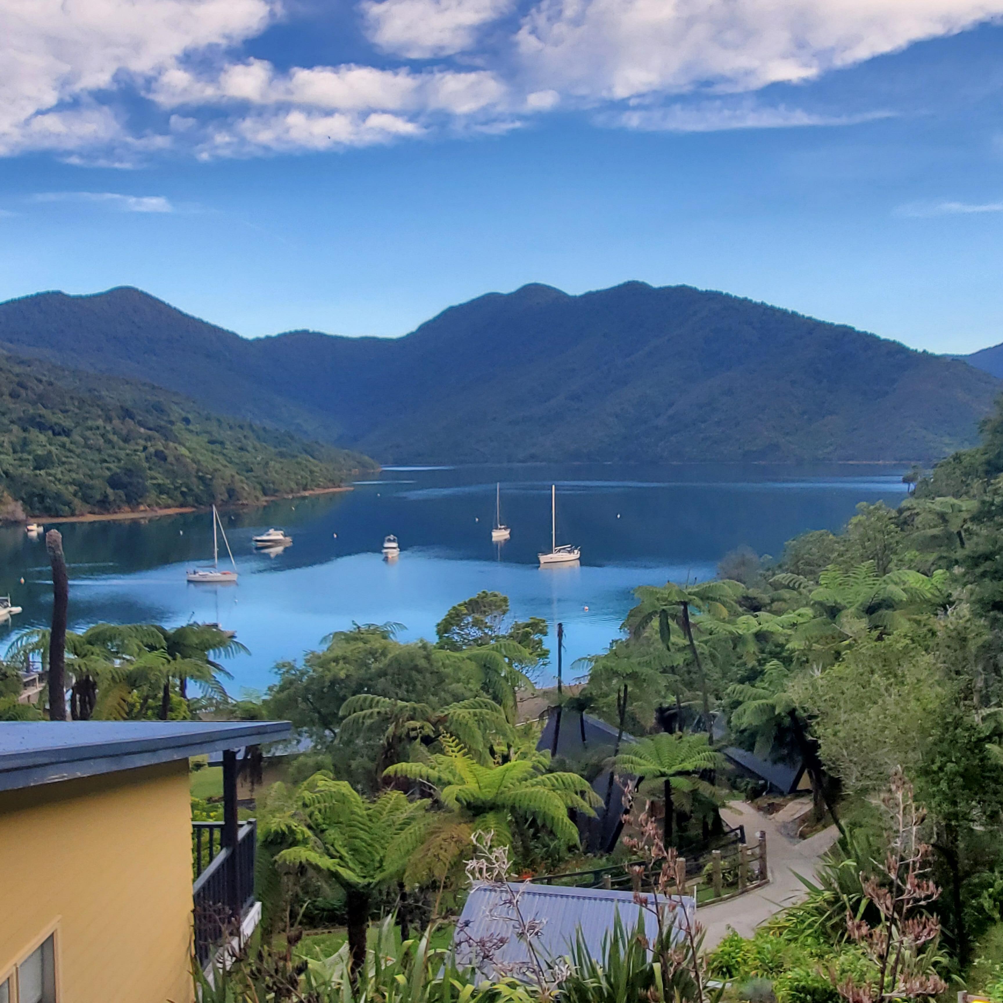 View from balcony of room 14