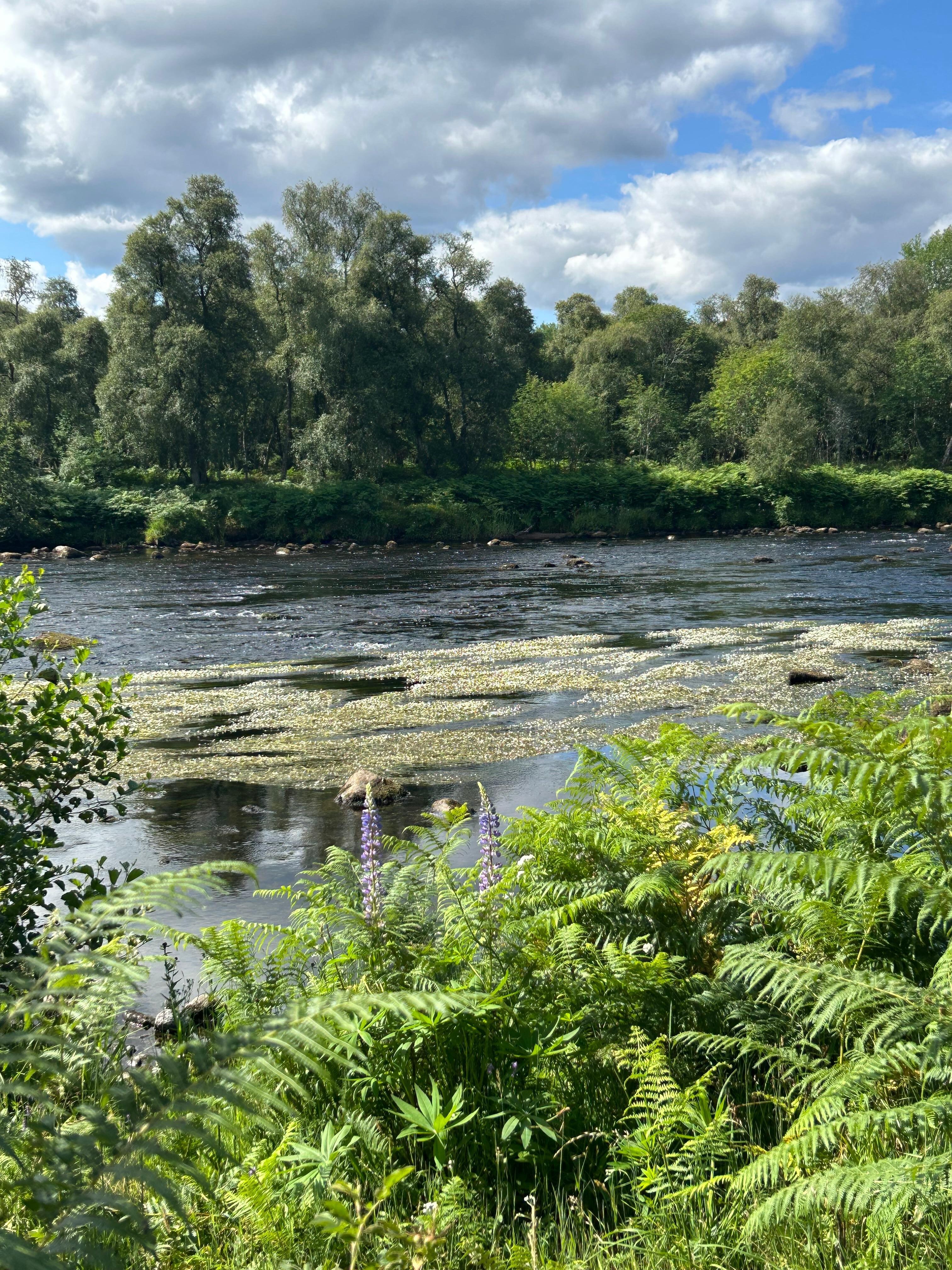 Spey river