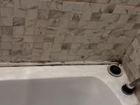 Mold