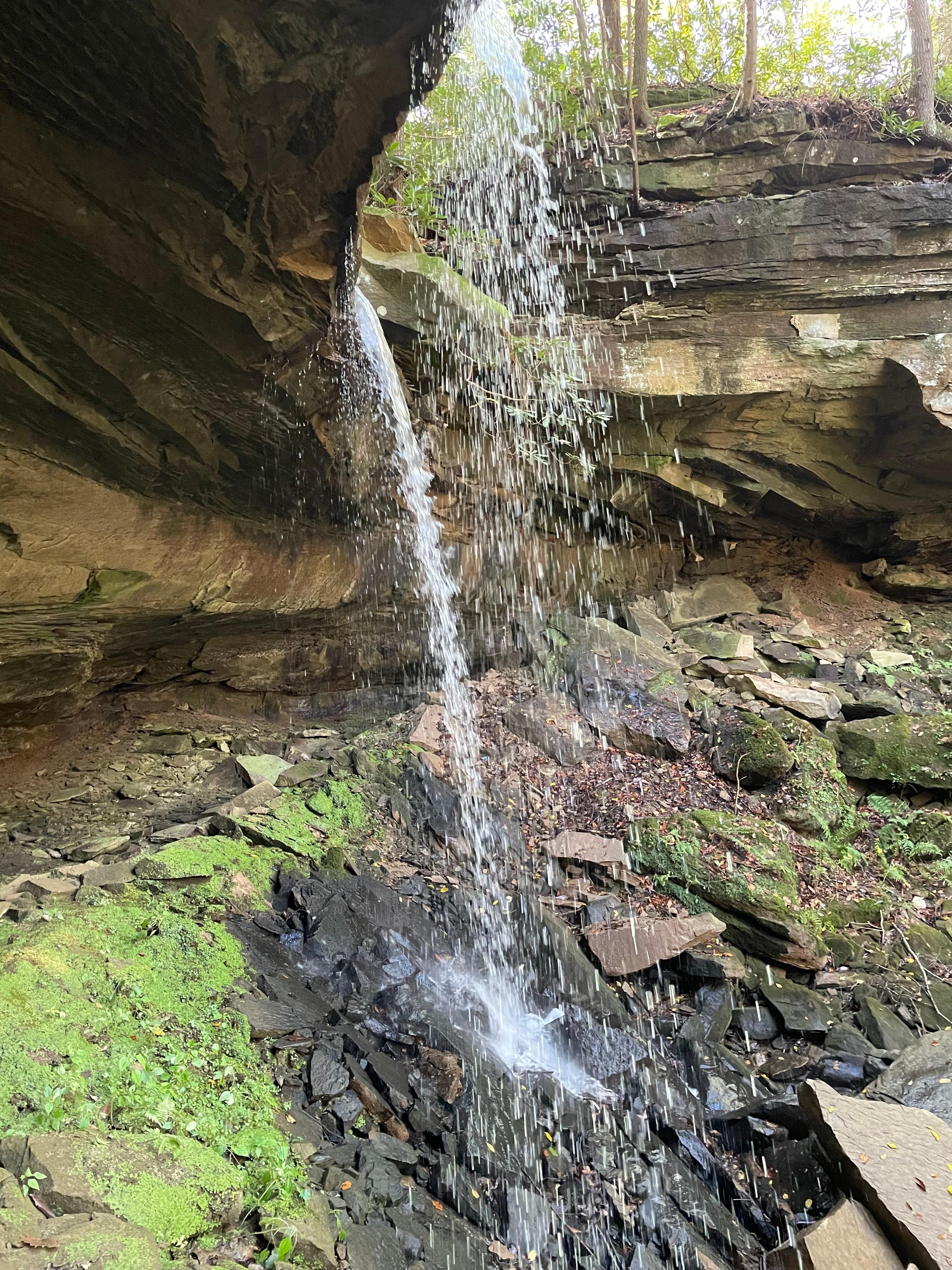 Waterfall on the property 