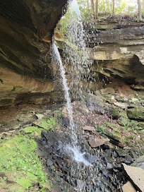 Waterfall on the property