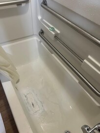 Bathtub shower
