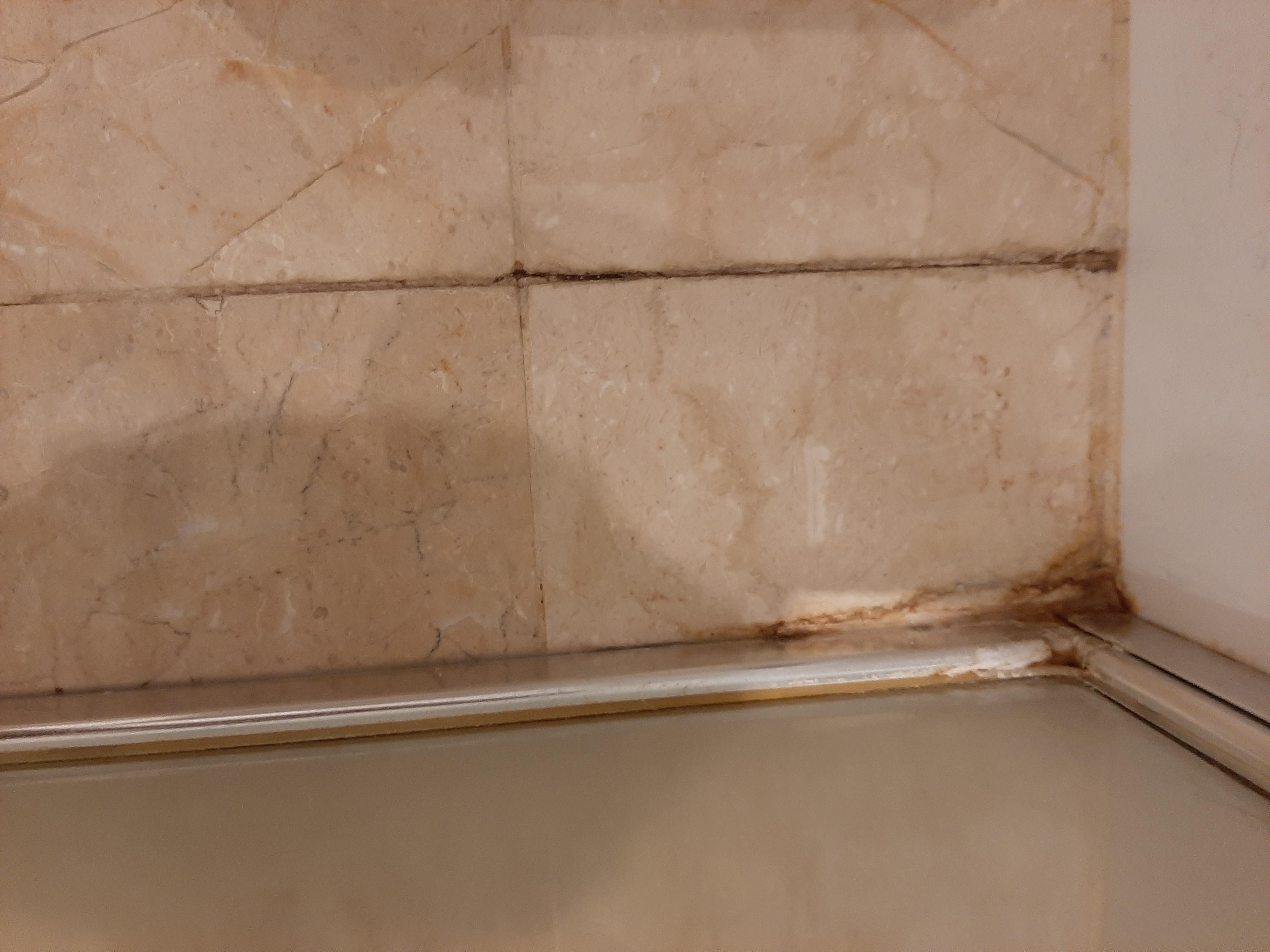 Mould on bathroom floor tiles on arrival