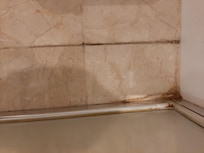 Mould on bathroom floor tiles on arrival