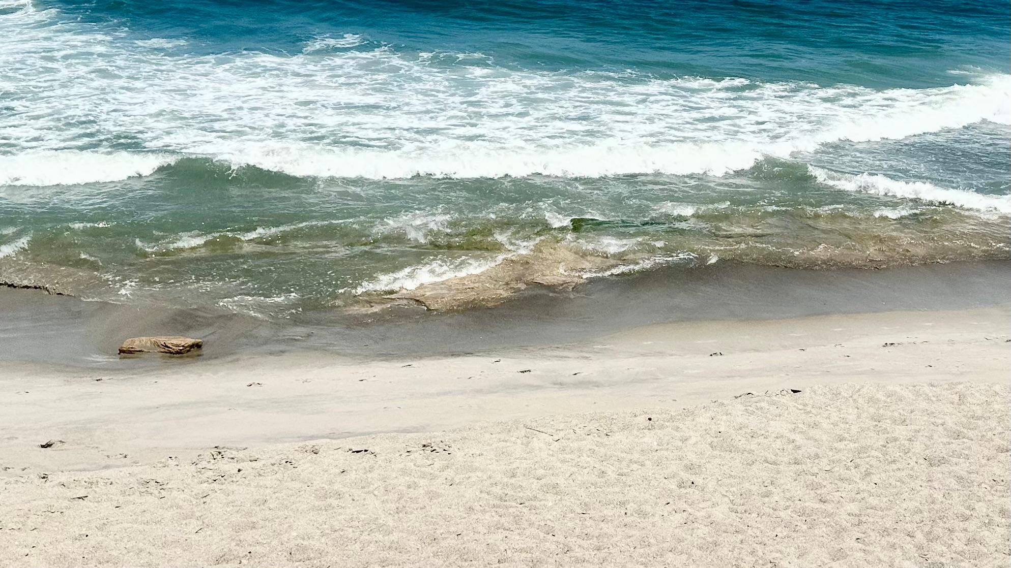 “Drop-off from property to beach at low tide with rocks.”