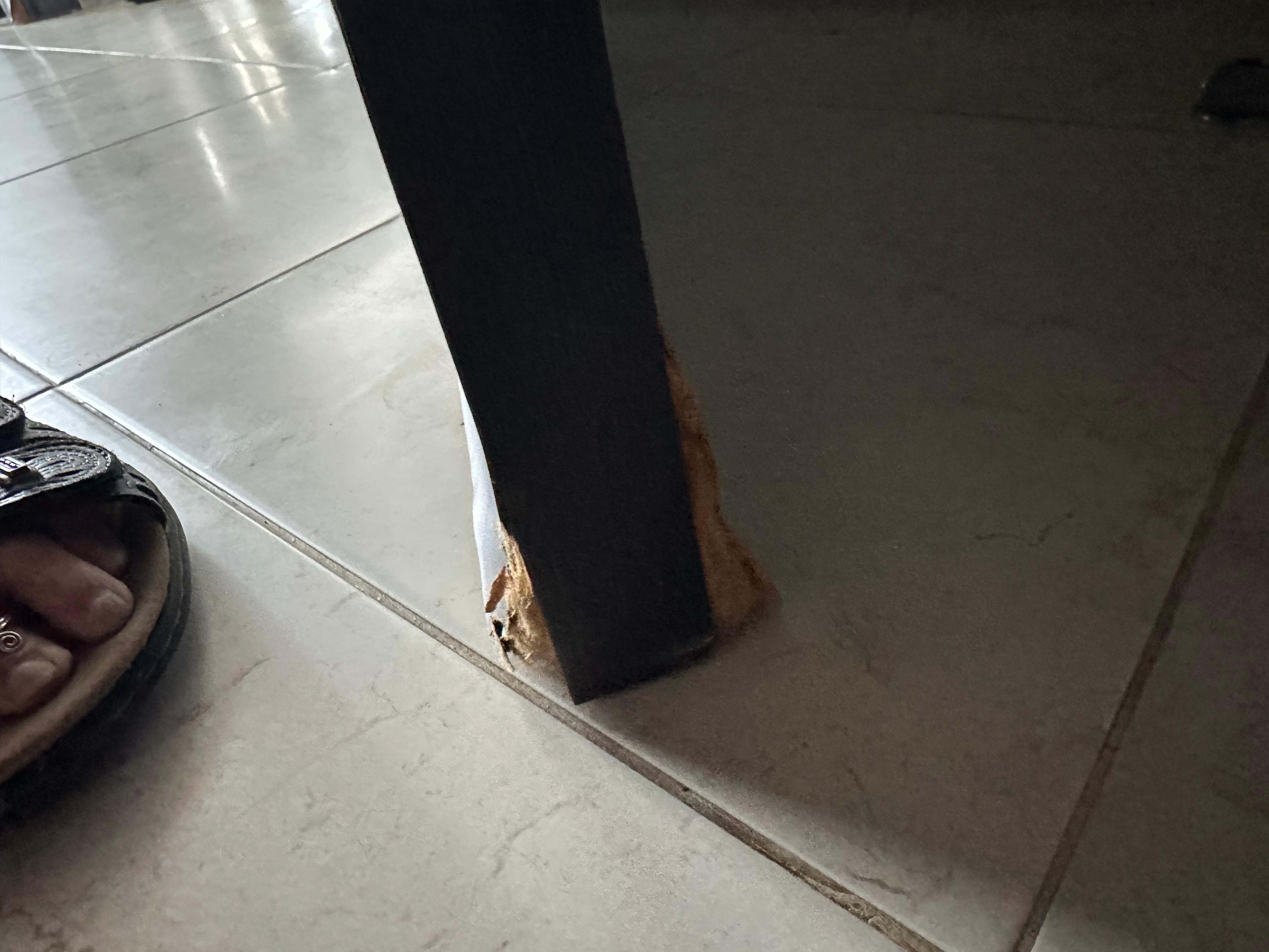 Water damage on bathroom door