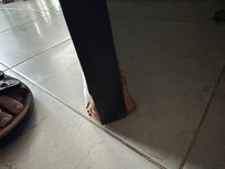 Water damage on bathroom door