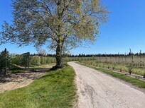 Chemin aux alentours de la maison