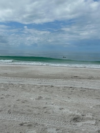 We saw dolphins right in front of the place!