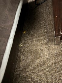 Food and dirt on the floor