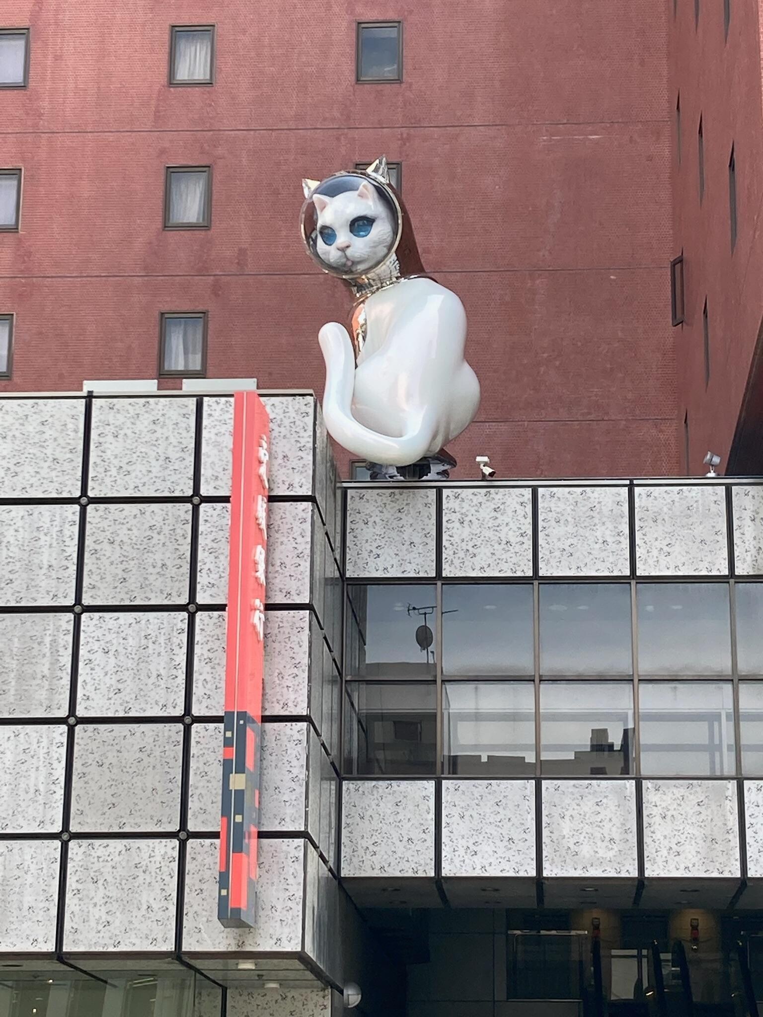 SHIP’S CAT