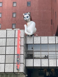 SHIP’S CAT