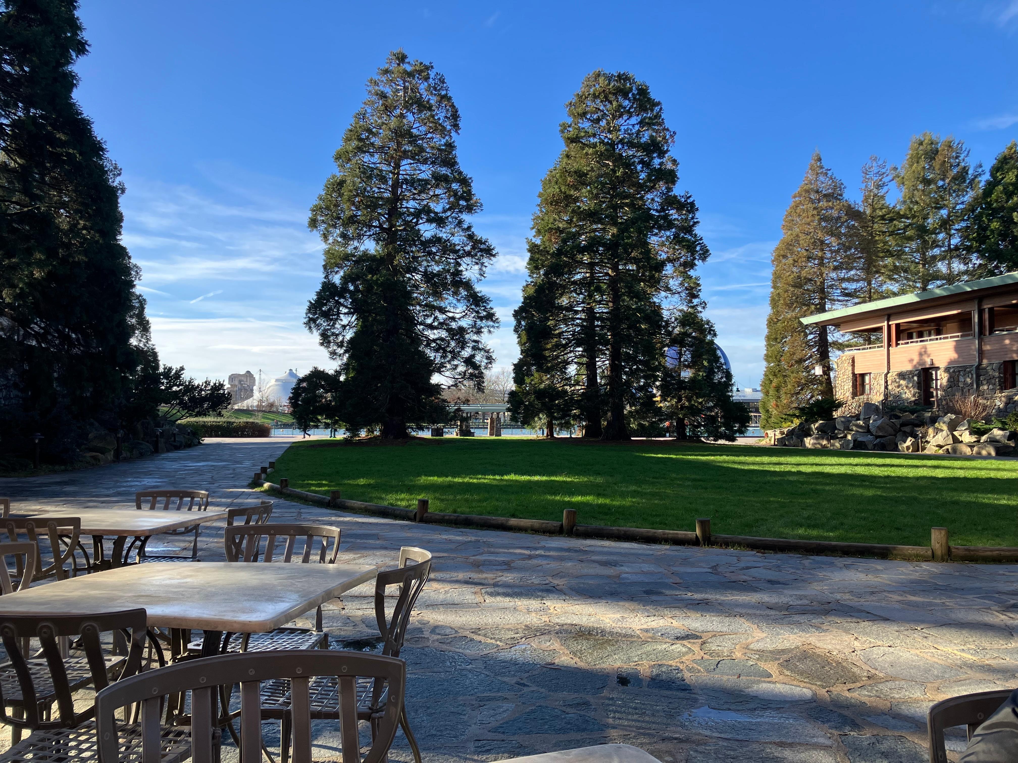 Hotel grounds are quite relaxing to enjoy after a busy day at Disneyland 