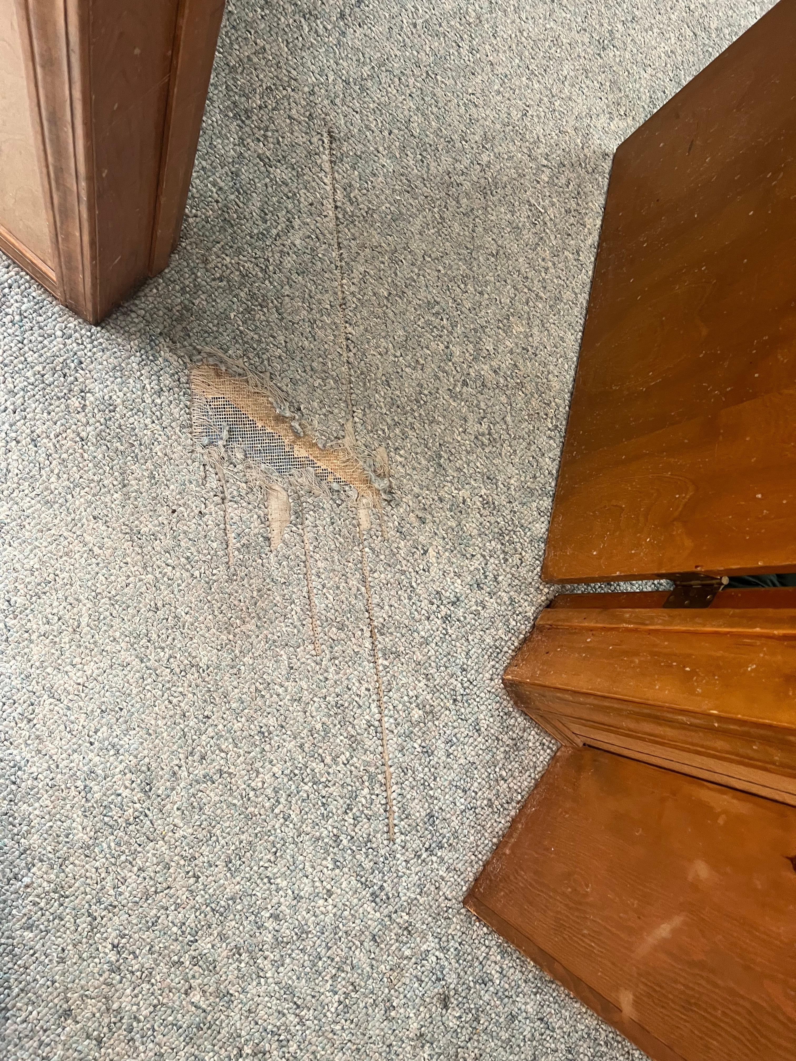 Torn carpet