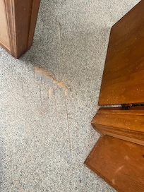 Torn carpet