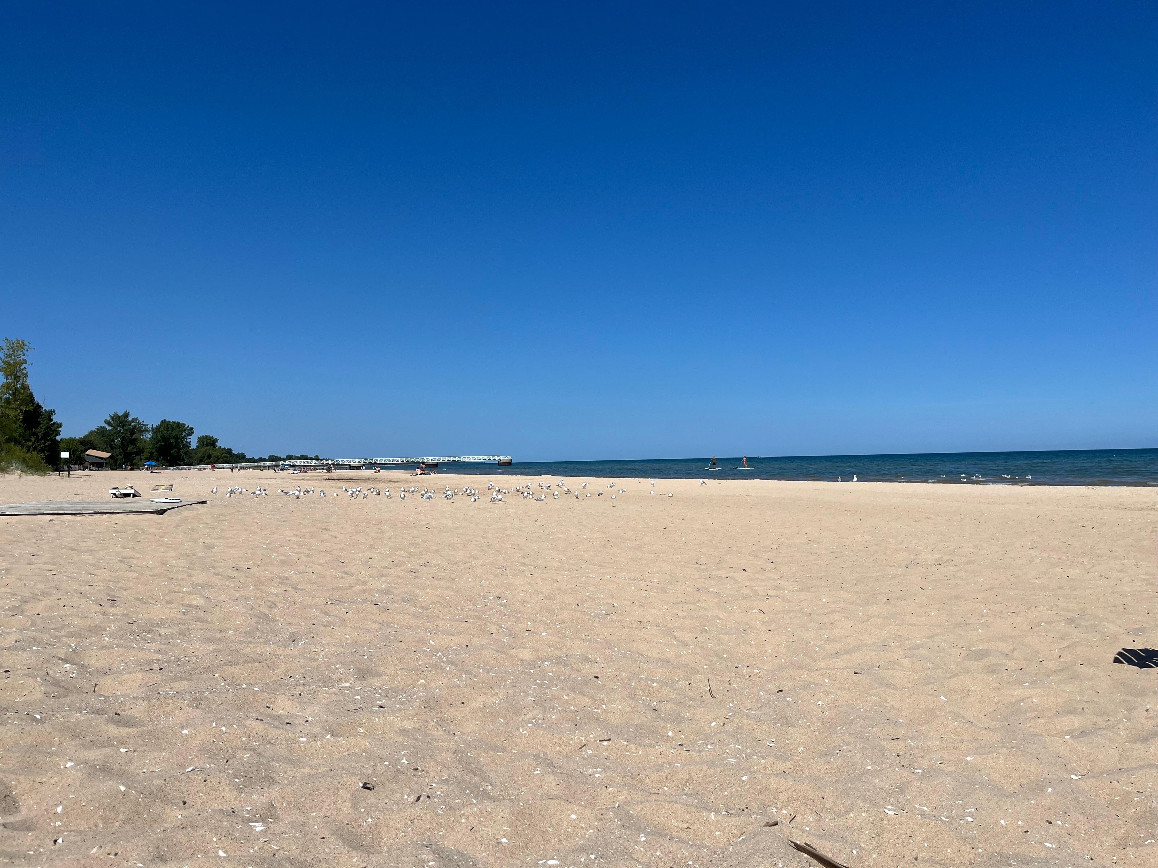 This is the view, just steps from the front of the cottage. 