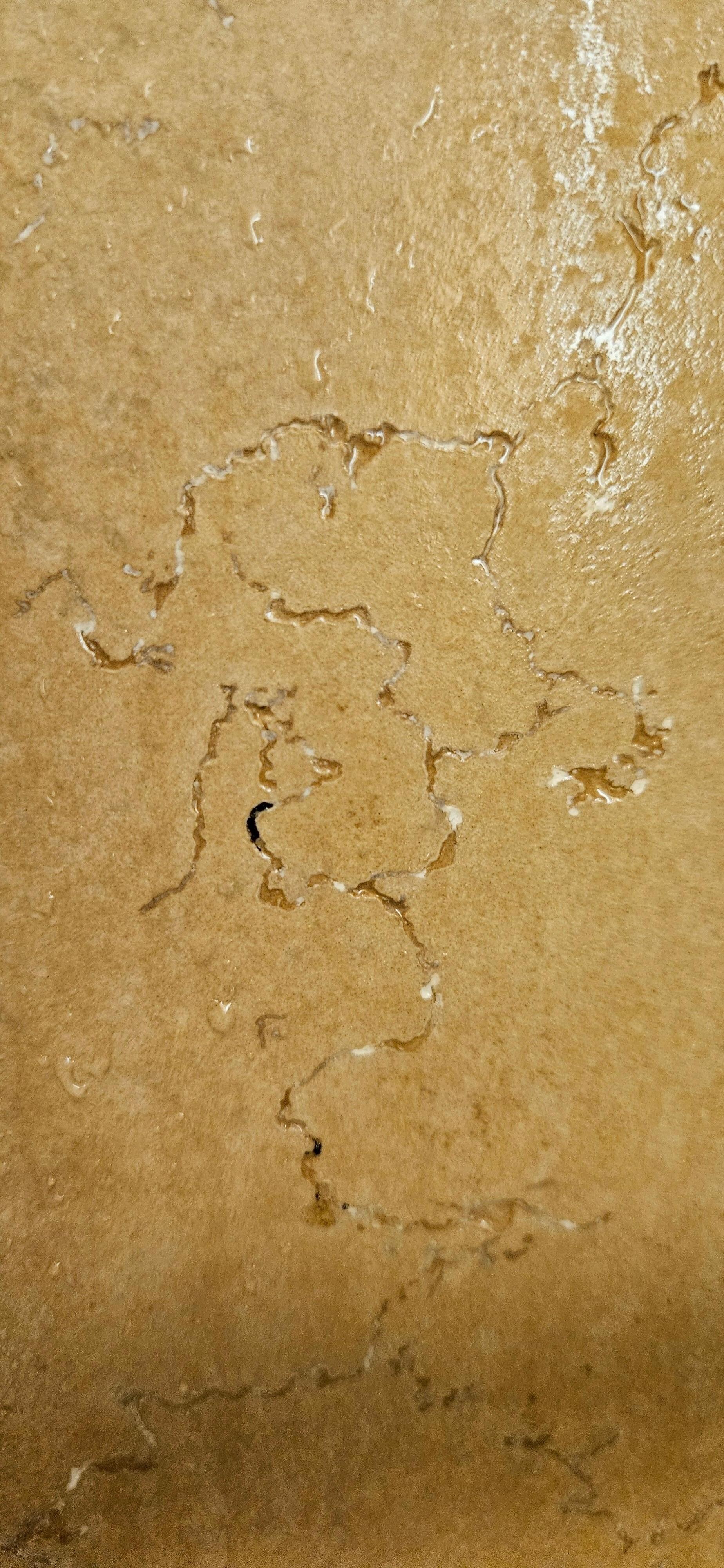 Built up folth in tile grooves, needs scrubbed with good cleaners 