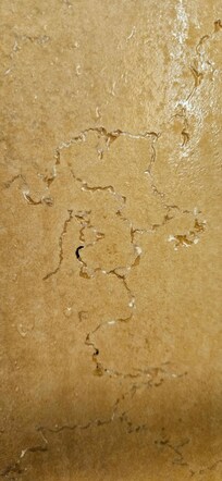 Built up folth in tile grooves, needs scrubbed with good cleaners