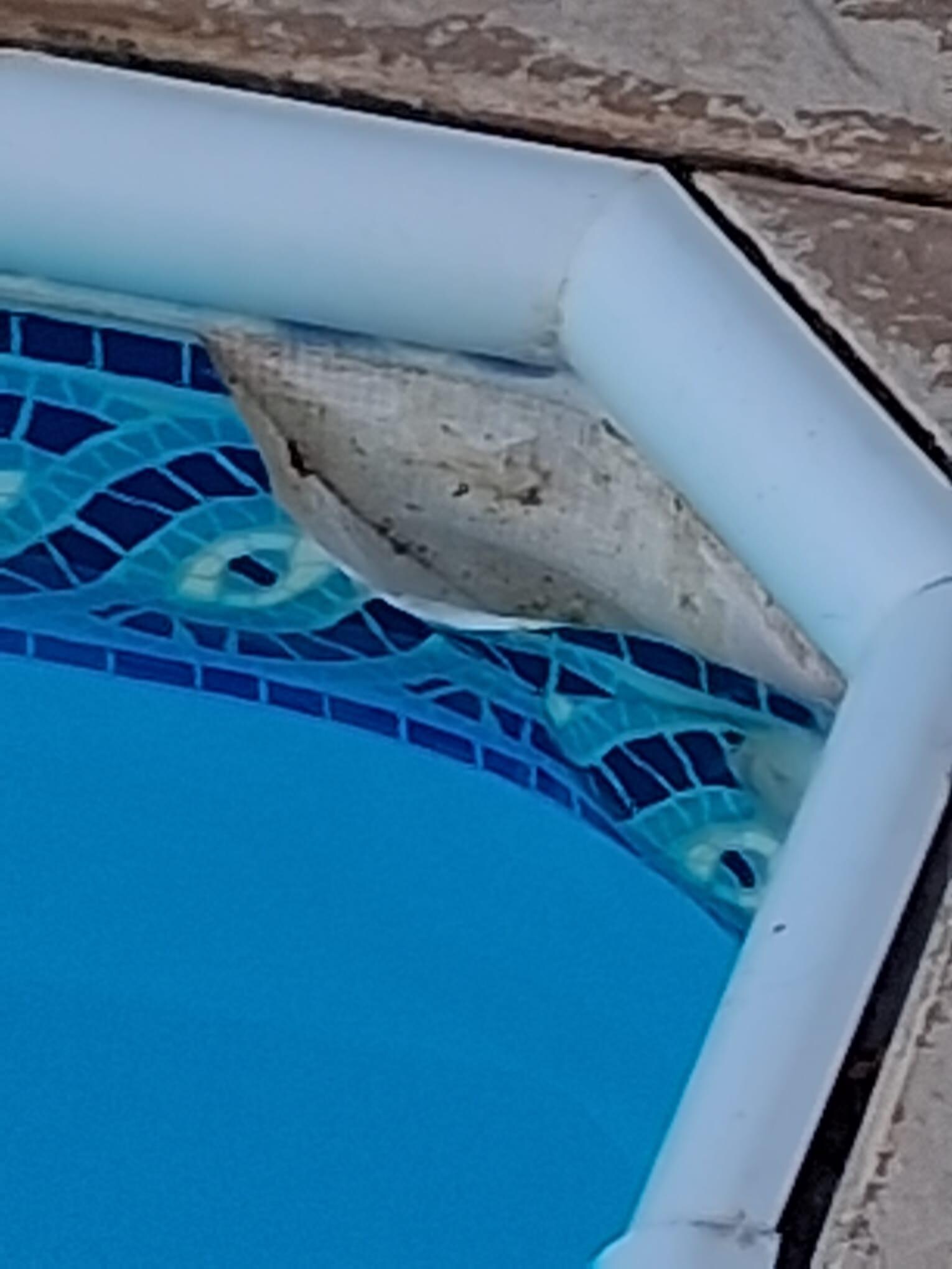 Pool lining