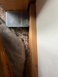 Mouse poison and poop. There is mouse poop throughout the condo.