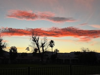 Evening view from back patio