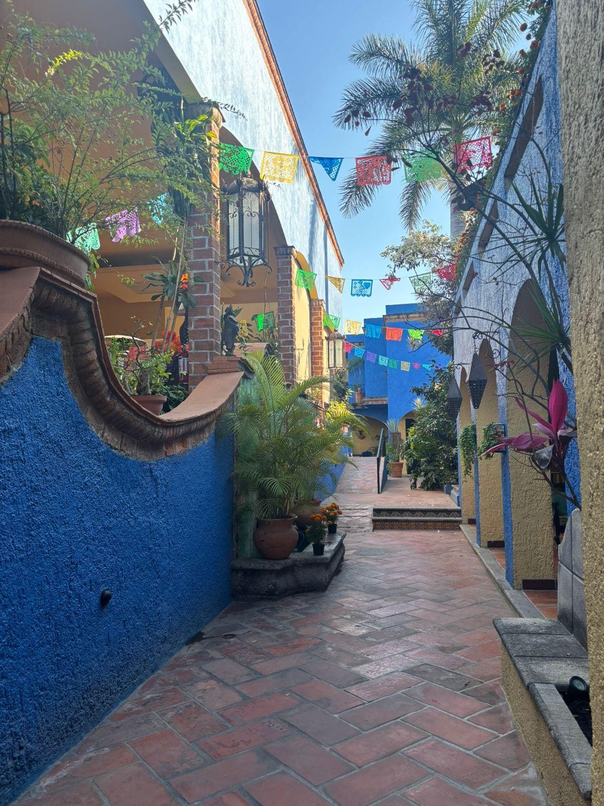 El lugar, la atmósfera, es una delicia. Realmente te espera un gran mundo en cuanto cruzas las puerta.