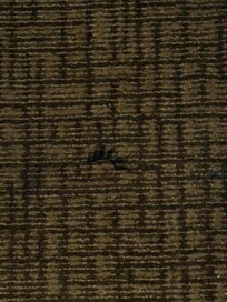 Fake lashes on the carpet