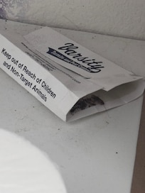 Roach traps with bugs inside