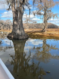 Caddo Lake Tour
