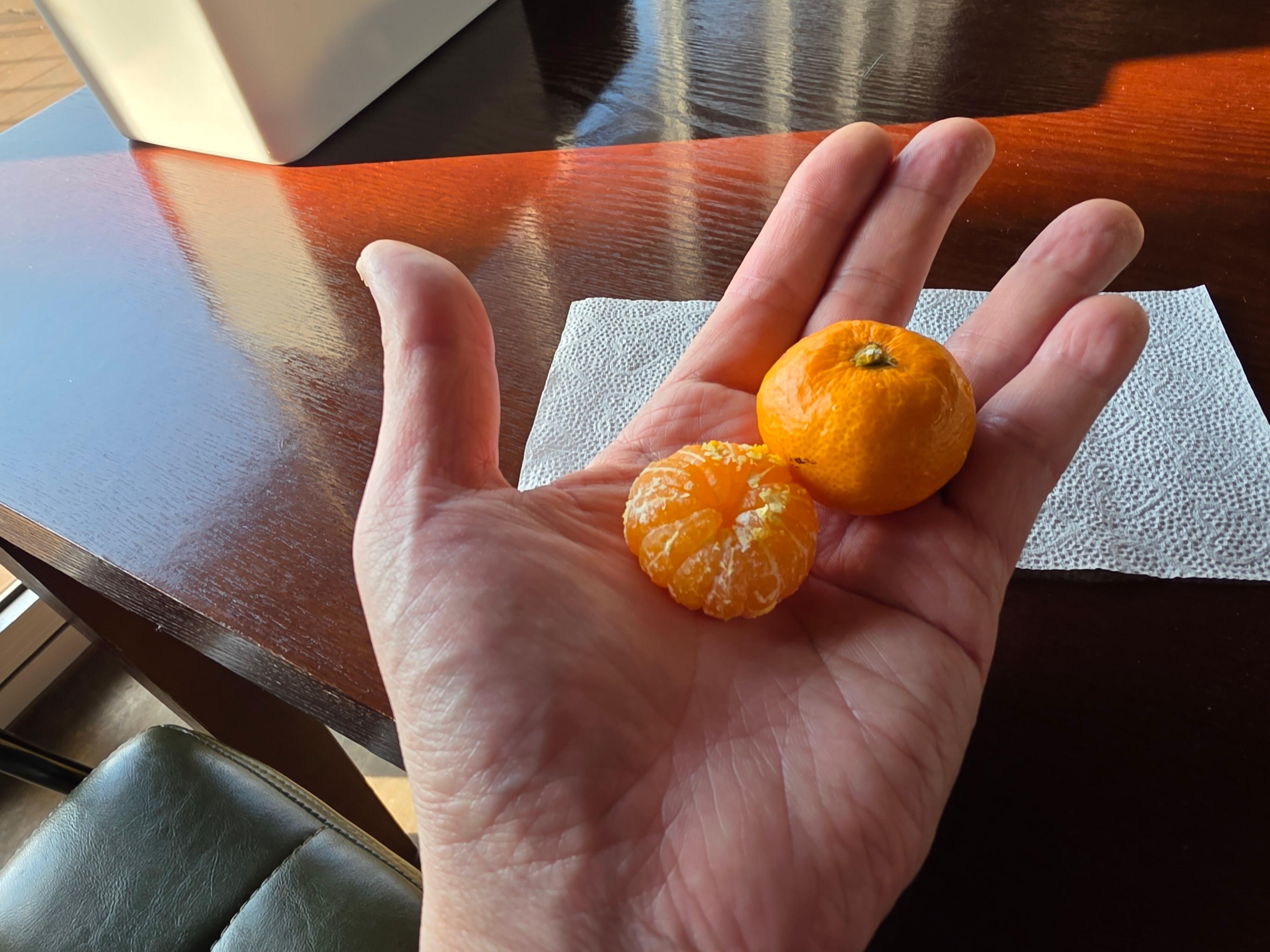 사장님의 오늘의 서비스