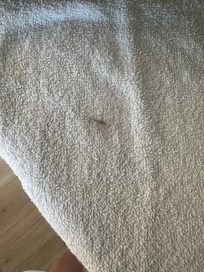 Dirty towel pulled from cabinet to use in bathroom.