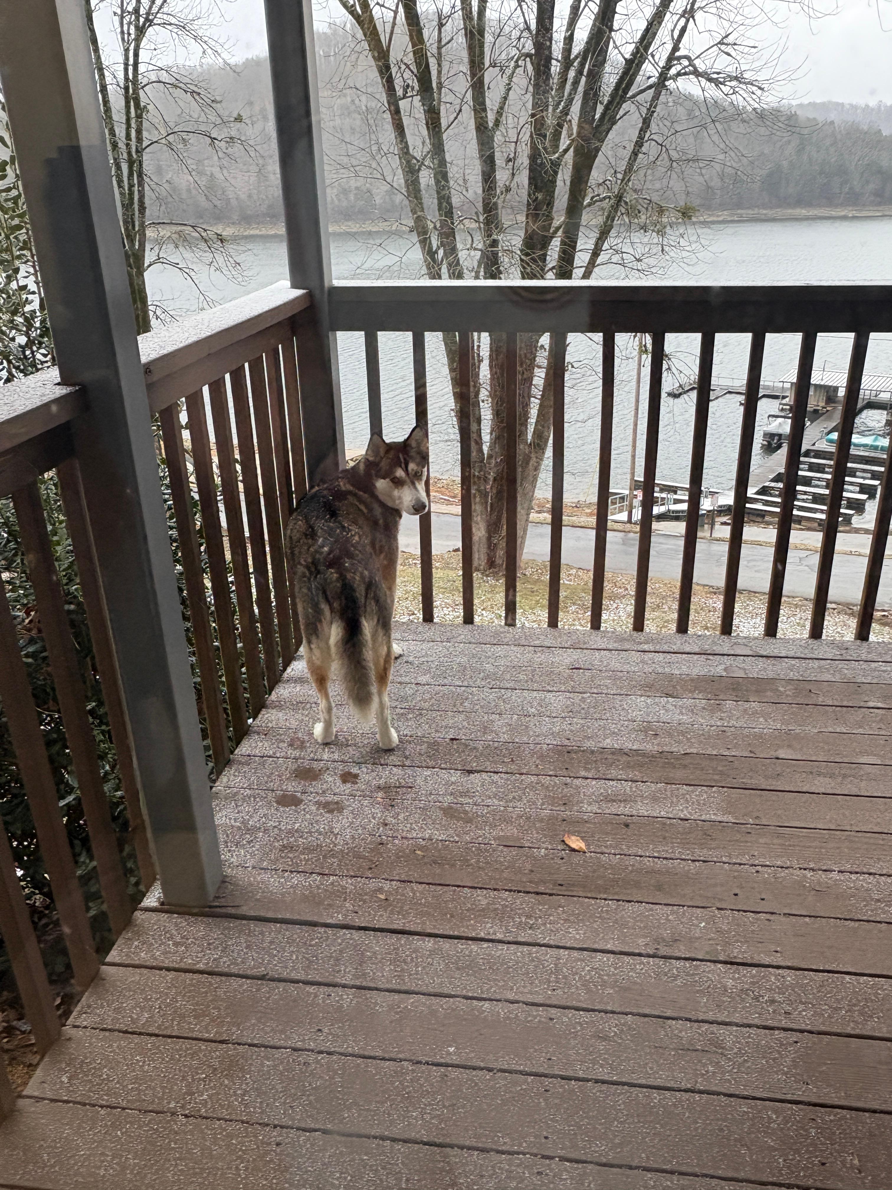 Balcony is great for kids or pets