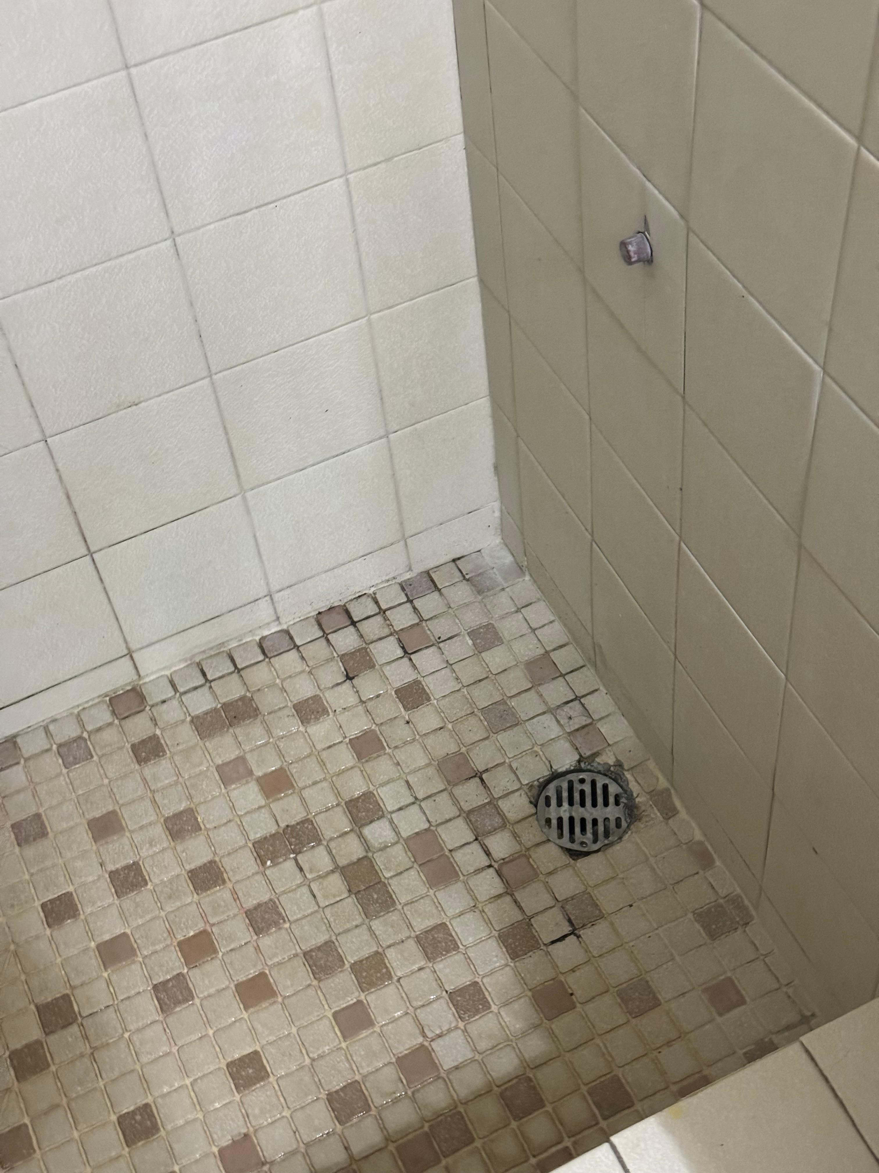 Visible mold in the shower 
