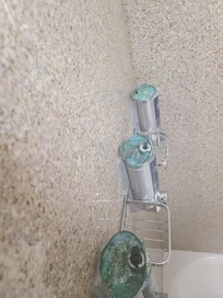 These are the shampoo/conditioner and body wash dispensers in the shower. GROSS!!!!!