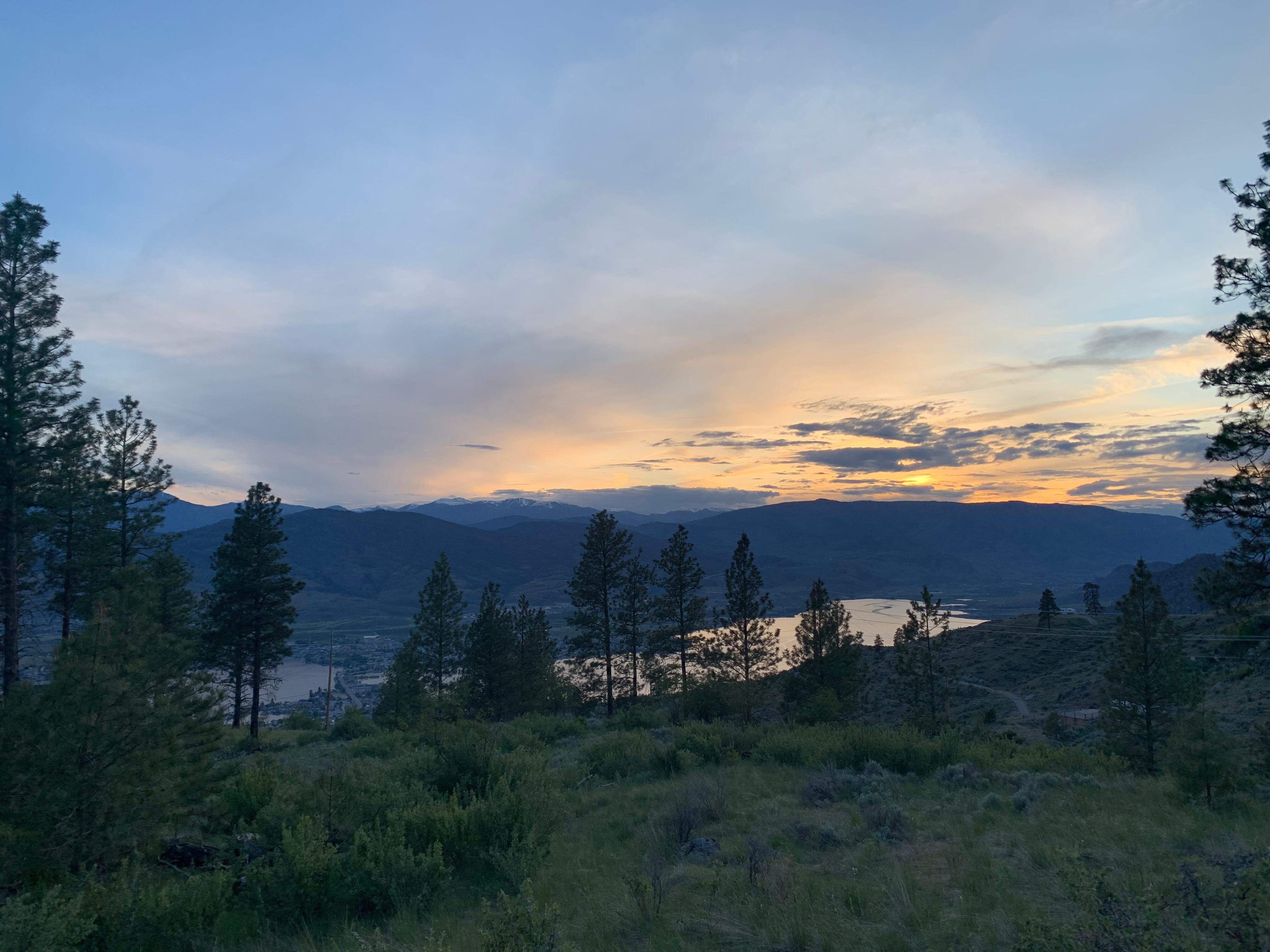 Another evening walk