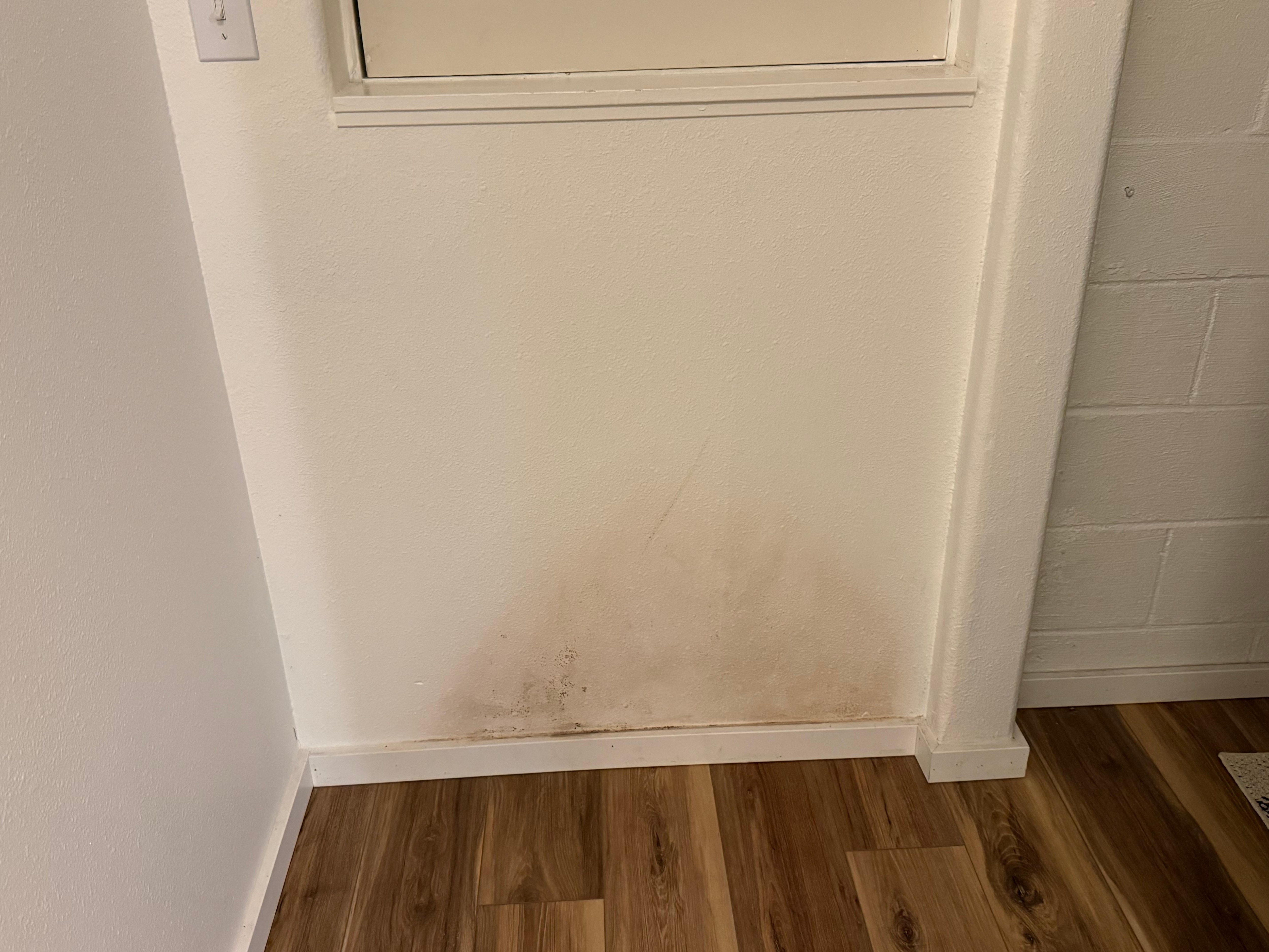 Mold growing downstairs?