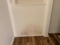 Mold growing downstairs?